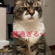 ヒメ日記 2026/08/20 07:15 投稿 ひろき 待ちナビ