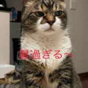 ヒメ日記 2026/08/26 17:06 投稿 ひろき 待ちナビ