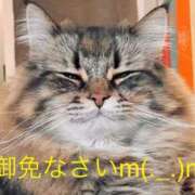 ヒメ日記 2026/09/21 16:45 投稿 ひろき 待ちナビ