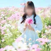 潮風もな【PREMIUM】 〇〇の秋🌸 素人専門　街角レディ