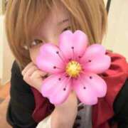 ヒメ日記 2026/04/05 00:28 投稿 なみ しゃんぜりぜ