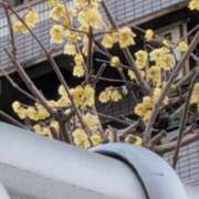 ヒメ日記 2026/03/02 09:06 投稿 みか 熟女ばかり