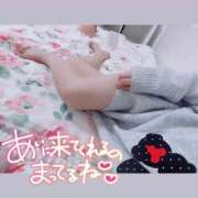 ヒメ日記 2026/03/07 09:21 投稿 じゅな 桜色学園