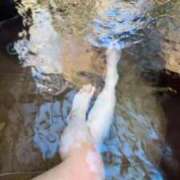 ヒメ日記 2026/03/22 13:14 投稿 じゅな 桜色学園