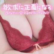 ヒメ日記 2026/02/22 19:28 投稿 菊池　えれな オトナ女子倶楽部