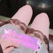 ヒメ日記 2026/02/26 09:57 投稿 菊池　えれな オトナ女子倶楽部