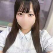 ホタル こんにちは?? マテリアル