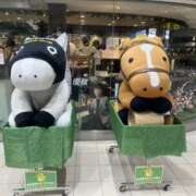 ヒメ日記 2026/03/13 09:07 投稿 みき club さくら日本橋店