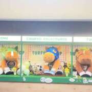 ヒメ日記 2026/03/21 09:12 投稿 みき club さくら日本橋店