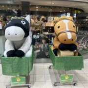 ヒメ日記 2026/03/13 12:55 投稿 みき 奥様さくら日本橋店