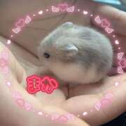 まか お礼❤️壱番館205号室のお客様 ふわもこ人妻ランド　那須塩原店