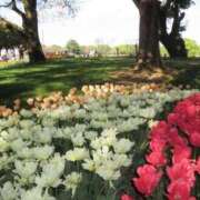 ヒメ日記 2026/03/20 19:27 投稿 河城ゆず グランエステ東京 品川（シンデレラグループ）