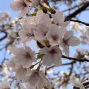 ヒメ日記 2026/03/29 22:26 投稿 RIKA Salvador (サルバドール)