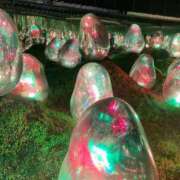 ヒメ日記 2026/03/24 23:19 投稿 弥生【ヤヨイ】 輝女