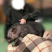 ヒメ日記 2026/03/16 18:20 投稿 流川かえで ウルトラハピネス