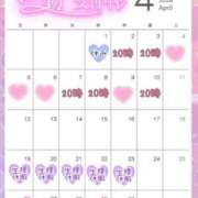 ヒメ日記 2026/03/24 15:45 投稿 りの 栃木宇都宮ちゃんこ