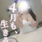 ヒメ日記 2026/04/01 06:35 投稿 りの 栃木宇都宮ちゃんこ