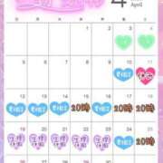 ヒメ日記 2026/04/04 19:25 投稿 りの 栃木宇都宮ちゃんこ