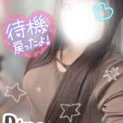 ヒメ日記 2026/04/06 17:35 投稿 りの 栃木宇都宮ちゃんこ