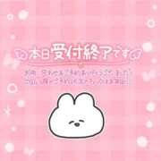 ヒメ日記 2026/04/10 18:05 投稿 りの 栃木宇都宮ちゃんこ