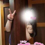 ヒメ日記 2026/04/16 10:15 投稿 りの 栃木宇都宮ちゃんこ