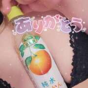 ヒメ日記 2026/06/24 09:05 投稿 りの 栃木宇都宮ちゃんこ
