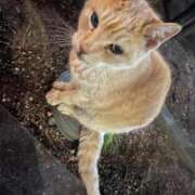 ヒメ日記 2026/02/24 01:36 投稿 ななみん イクイクサークル鶯谷店