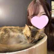 周防かなえ おはよ～～！！ JKリフレ東京 秋葉原本店