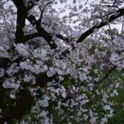 ヒメ日記 2026/04/08 09:01 投稿 みんと ビギナーズ和歌山