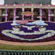 ヒメ日記 2026/03/11 20:16 投稿 イロハ ラブコレクション