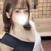 ひな よっかめ MONTE(モンテ)