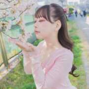 ヒメ日記 2026/04/16 01:29 投稿 ♡ももな♡ Premier(プレミア)