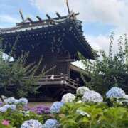 ヒメ日記 2026/06/12 12:46 投稿 ♡ももな♡ Premier(プレミア)