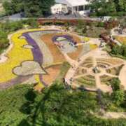 ヒメ日記 2026/03/29 11:46 投稿 あみ 茨城ちゃんこ土浦つくば店