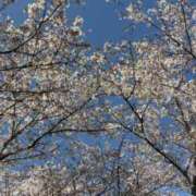 ヒメ日記 2026/04/05 10:02 投稿 あみ 茨城ちゃんこ土浦つくば店