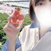 ヒメ日記 2026/03/31 13:55 投稿 りく♡S級美女♡ PANTHER（パンサー）