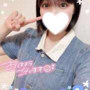 ヒメ日記 2026/04/03 06:05 投稿 りく♡S級美女♡ PANTHER（パンサー）