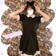 ヒメ日記 2026/04/04 09:15 投稿 りく♡S級美女♡ PANTHER（パンサー）