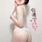 ヒメ日記 2026/04/11 16:55 投稿 りく♡S級美女♡ PANTHER（パンサー）