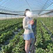 ヒメ日記 2026/07/11 06:45 投稿 りく♡S級美女♡ PANTHER（パンサー）