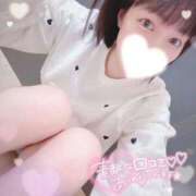 ヒメ日記 2026/07/14 18:05 投稿 りく♡S級美女♡ PANTHER（パンサー）