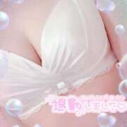ヒメ日記 2026/08/25 00:25 投稿 りく♡S級美女♡ PANTHER（パンサー）