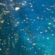 ヒメ日記 2026/03/25 23:45 投稿 篠田 鶯谷人妻城