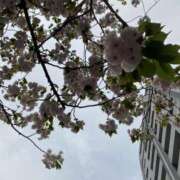 ヒメ日記 2026/04/05 22:36 投稿 篠田 鶯谷人妻城