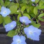 ヒメ日記 2026/05/02 01:55 投稿 篠田 鶯谷人妻城