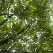 ヒメ日記 2026/05/11 07:26 投稿 篠田 鶯谷人妻城