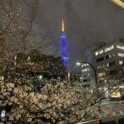 ヒメ日記 2026/03/23 13:41 投稿 ひなの MIKADO