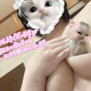 ヒメ日記 2026/02/23 13:13 投稿 ゆき サマンサ(和歌山)