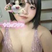 ヒメ日記 2026/02/25 14:47 投稿 ゆき サマンサ(和歌山)