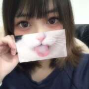 ヒメ日記 2026/03/04 17:59 投稿 山崎　なぎさ ミセスサマンサPLUS